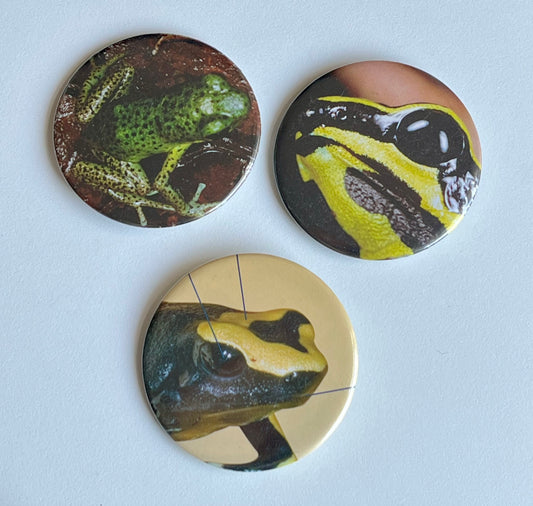 2.25" button bundle