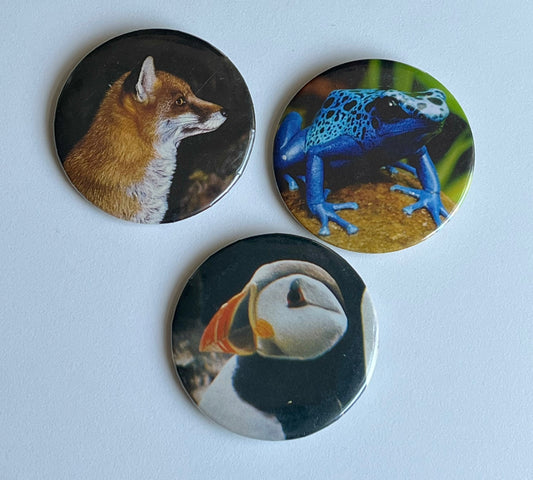 2.25" button bundle