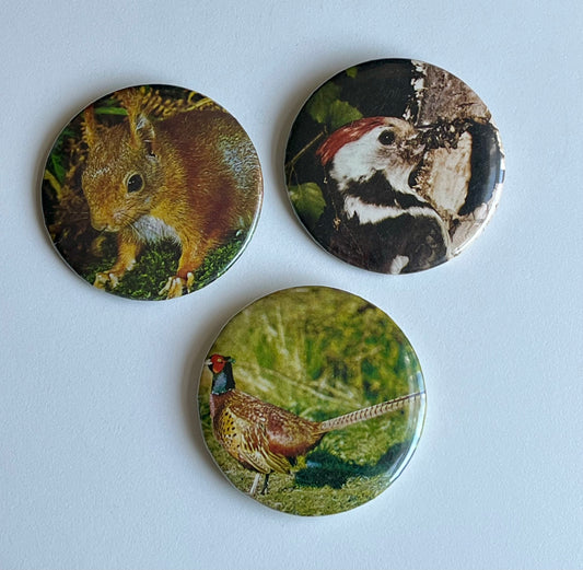2.25" button bundle